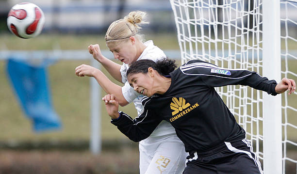 仅表达了对 仅表达了对